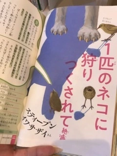 あみ
