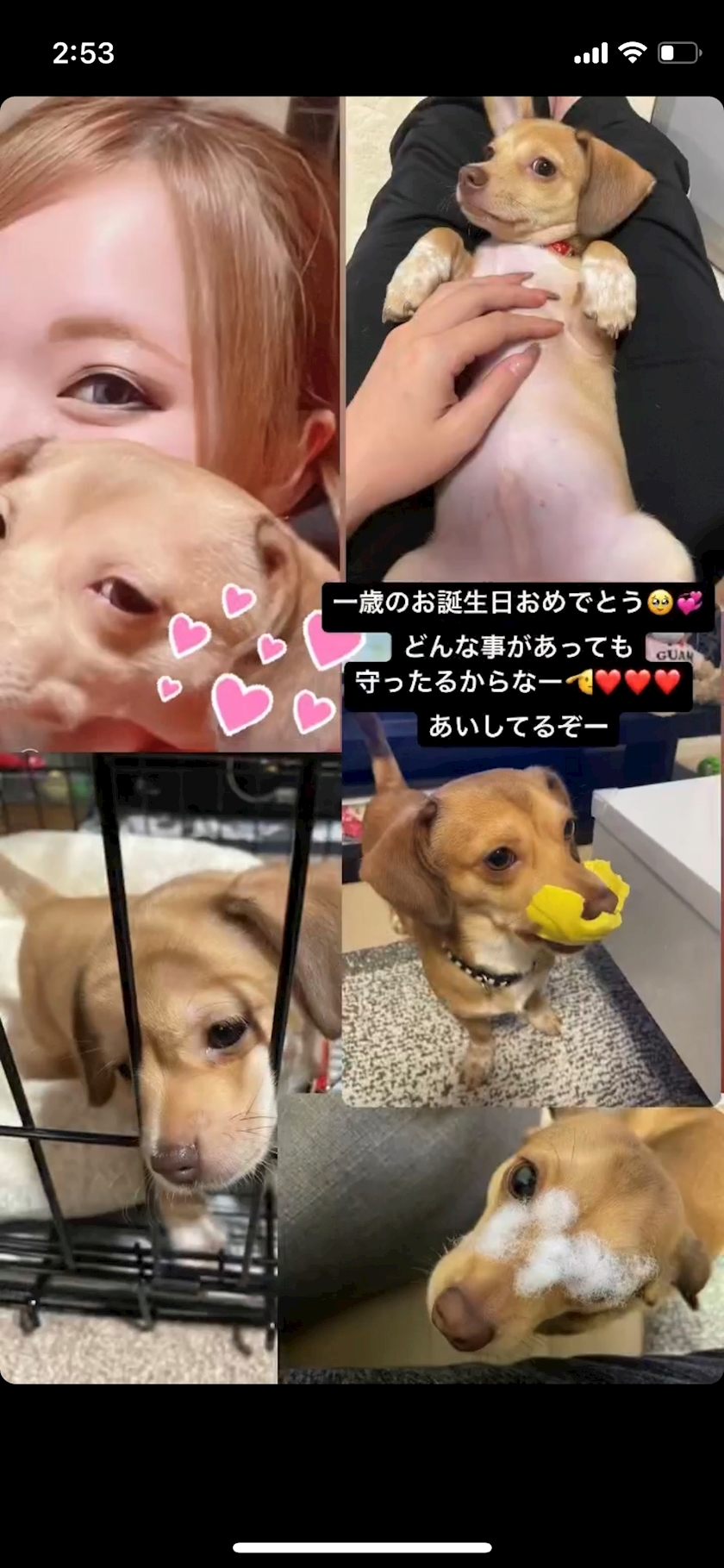 美月
