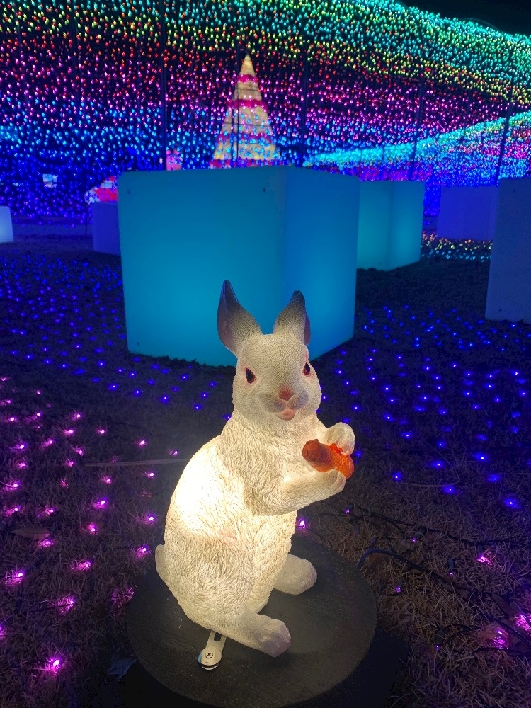 はづき