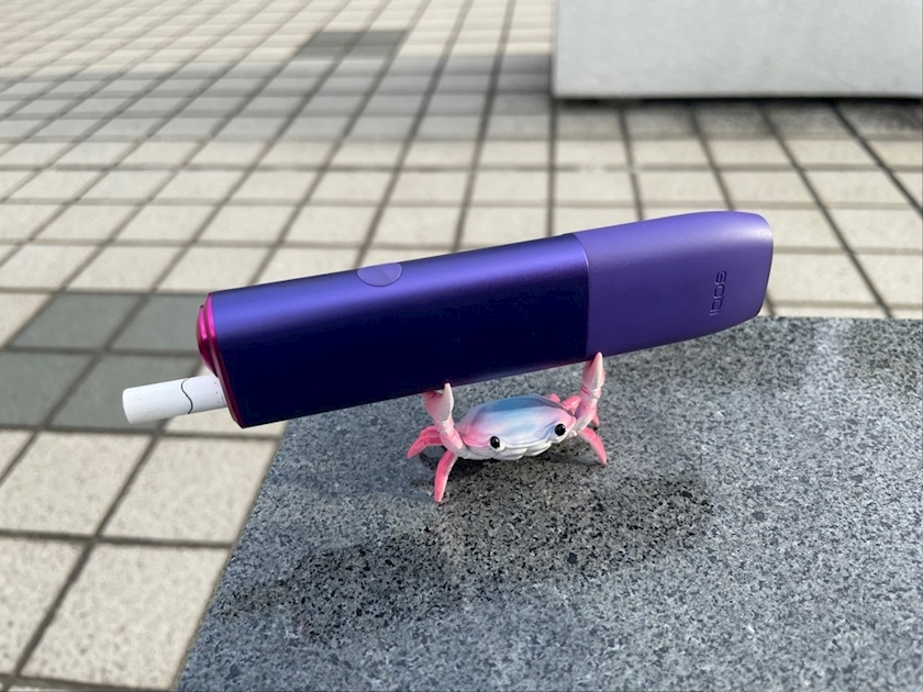 式波 ツバサ
