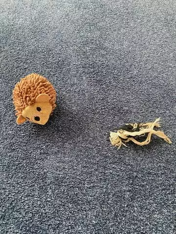 長瀬 純恋