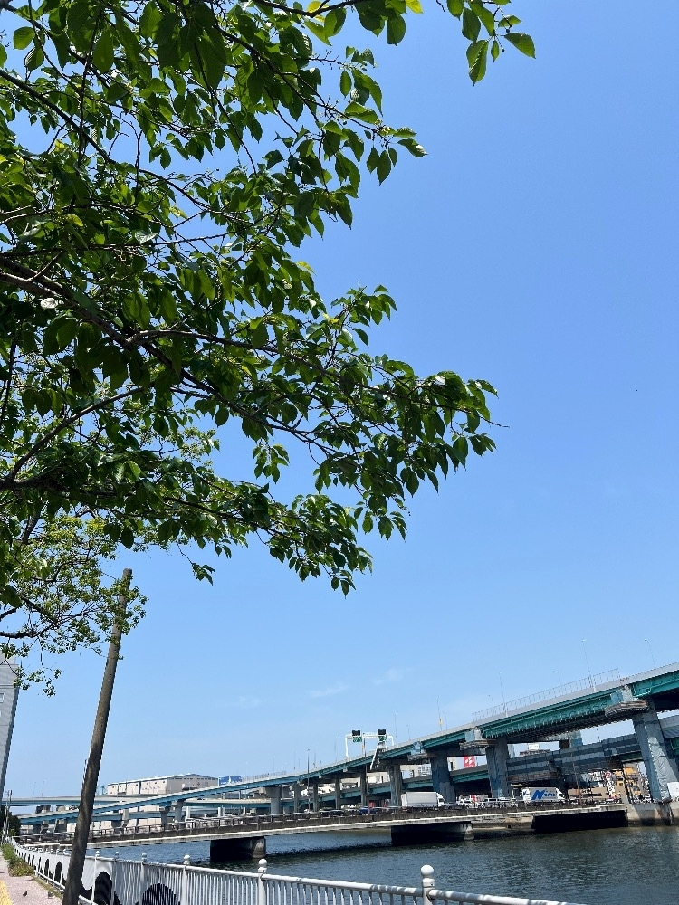 池田 ゆりか ママ
