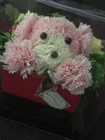 白石 愛莉
