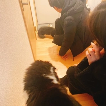 しほ