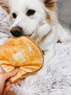 京 さゆみ