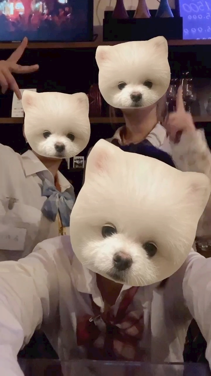 あおい
