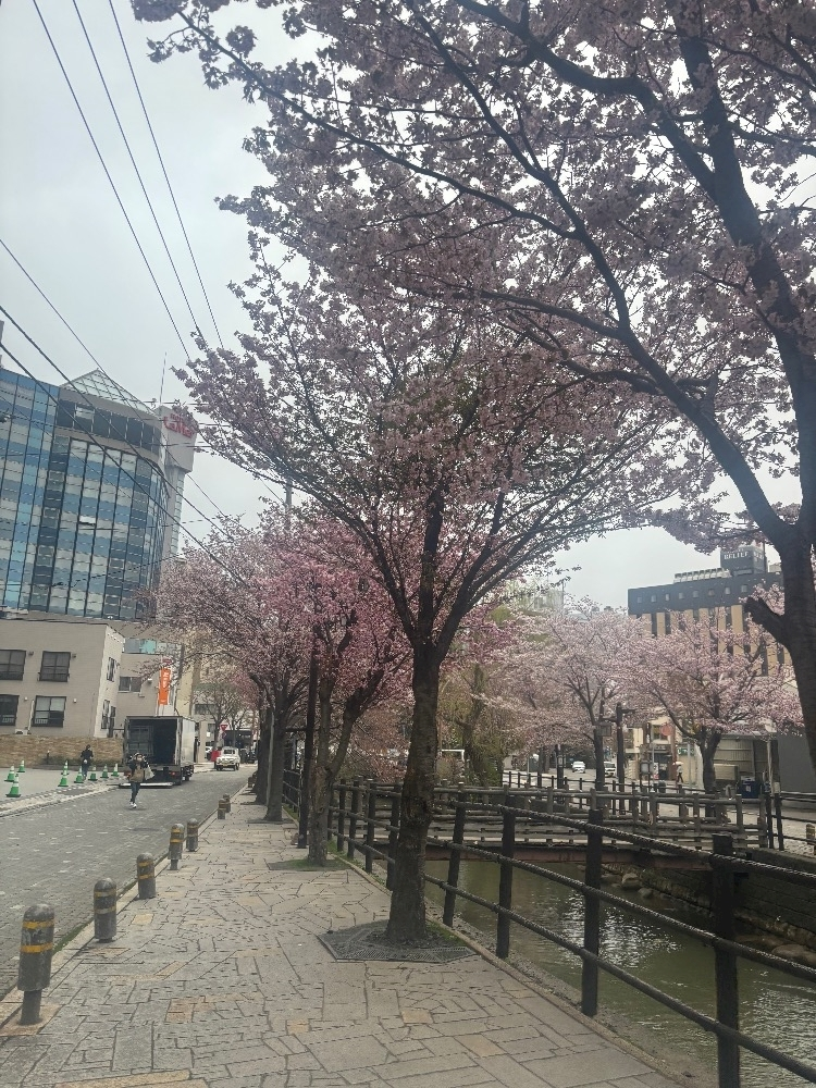 三鷹 真綺