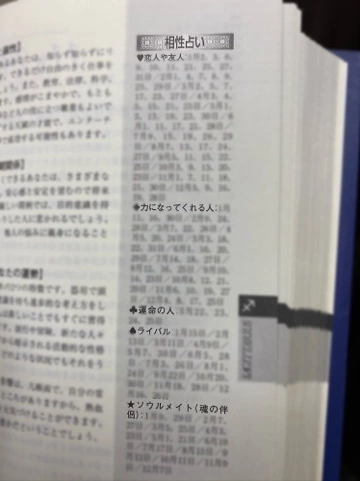美嘉