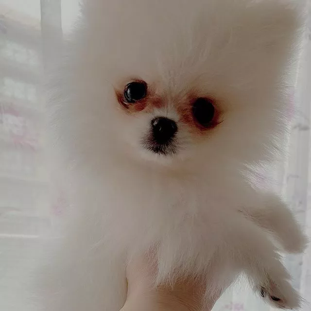 千条 ちか