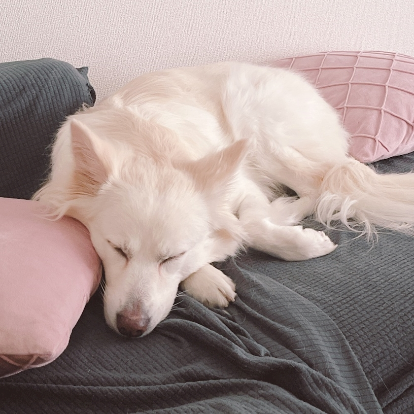 京 さゆみ