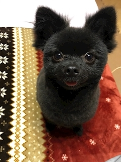 ティナ