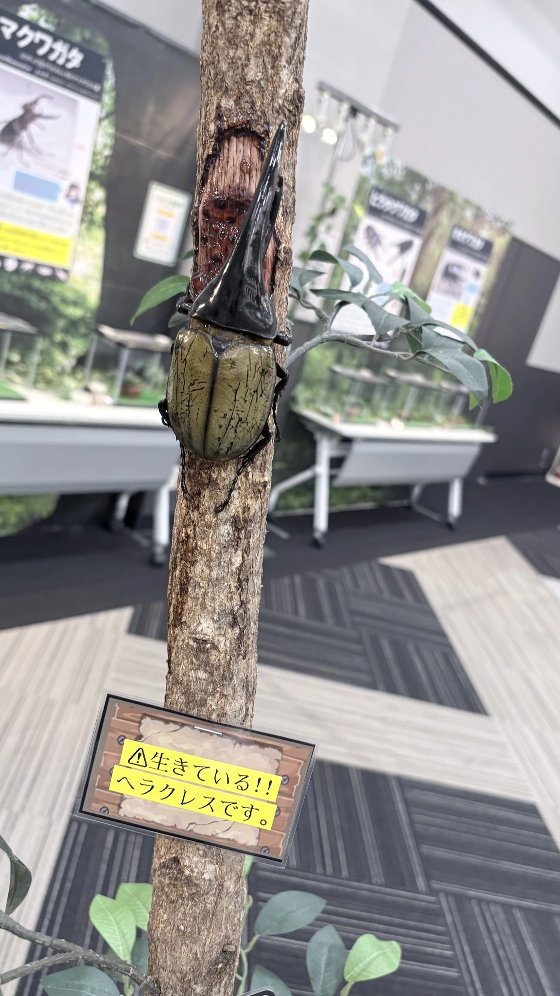 いちご
