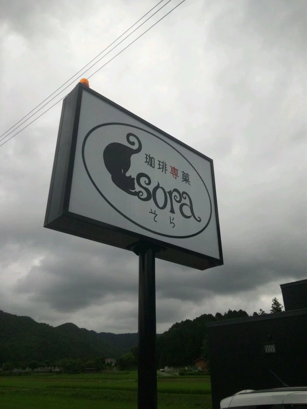 雅