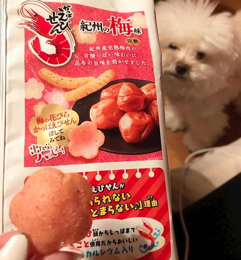 夏樹 あや