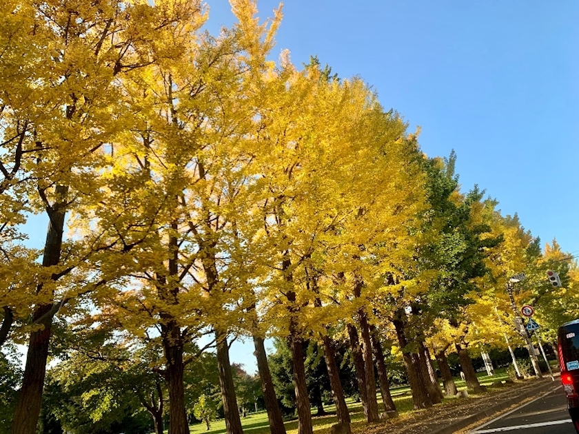 咲良 水月