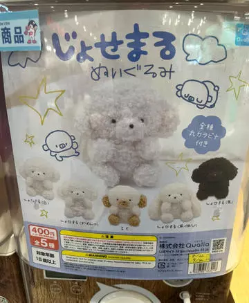 七星 夏純