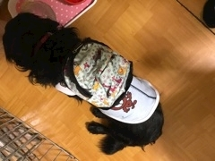 りえ