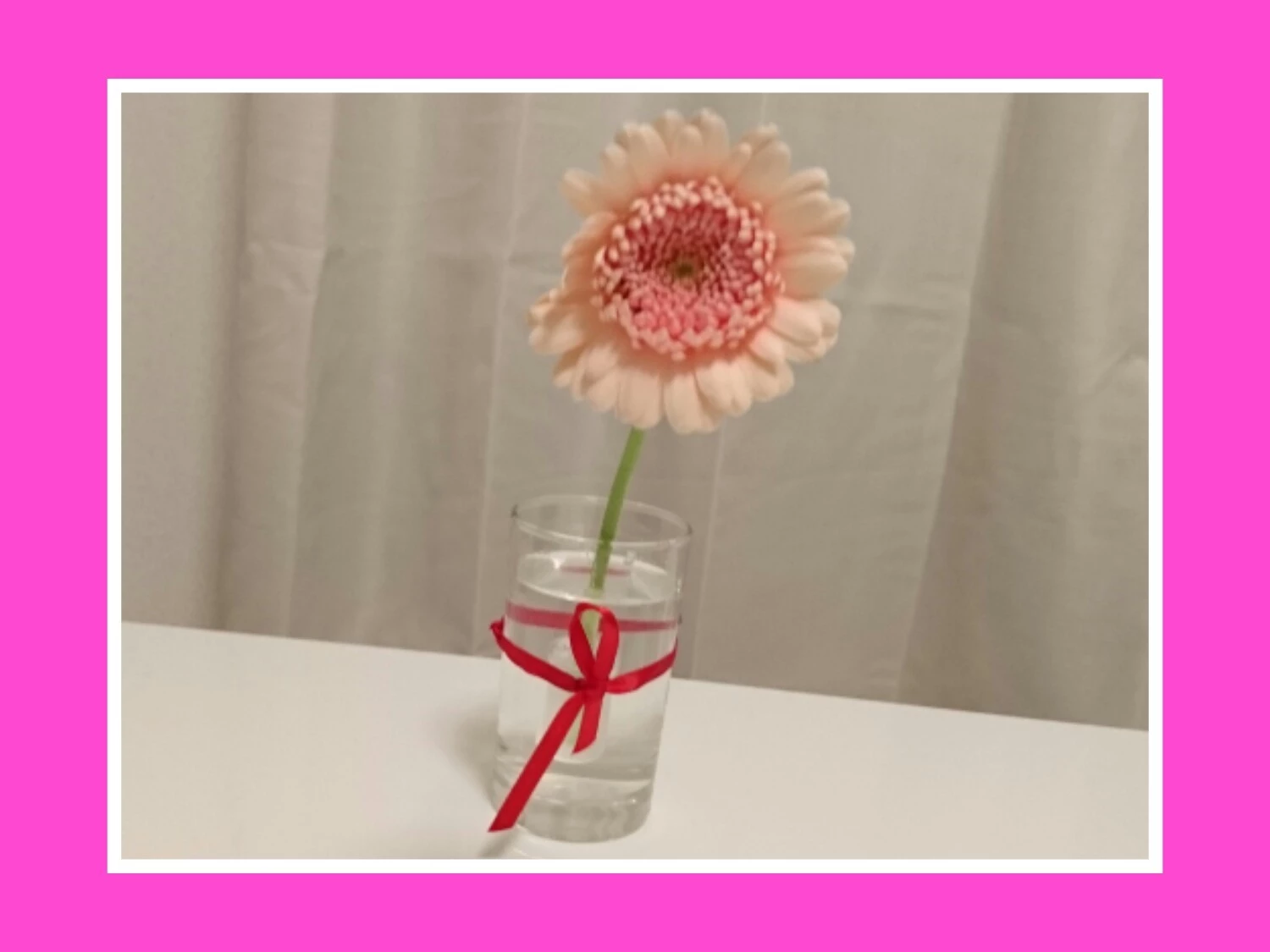 らん