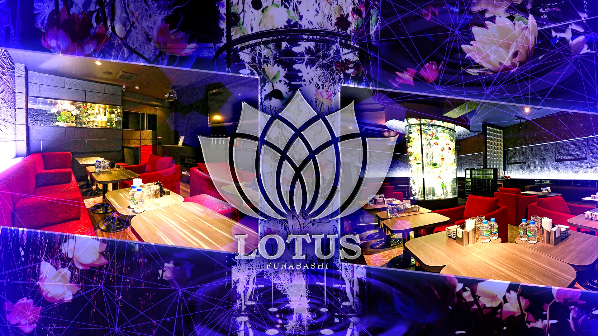 Lotus Funabashi ロータス 船橋市本町 キャバクラ ナイトスタイル