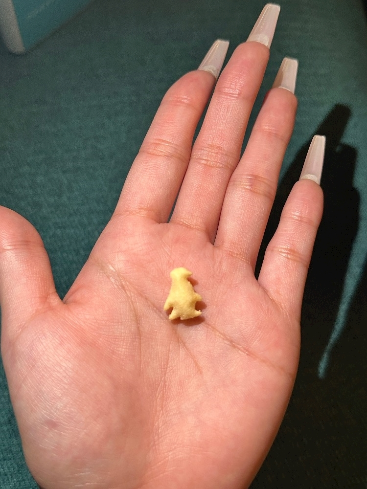 ここ