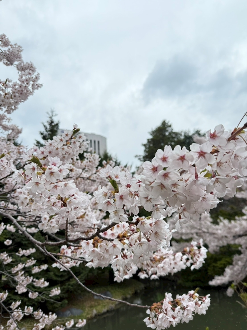 西園寺 ゆきみ
