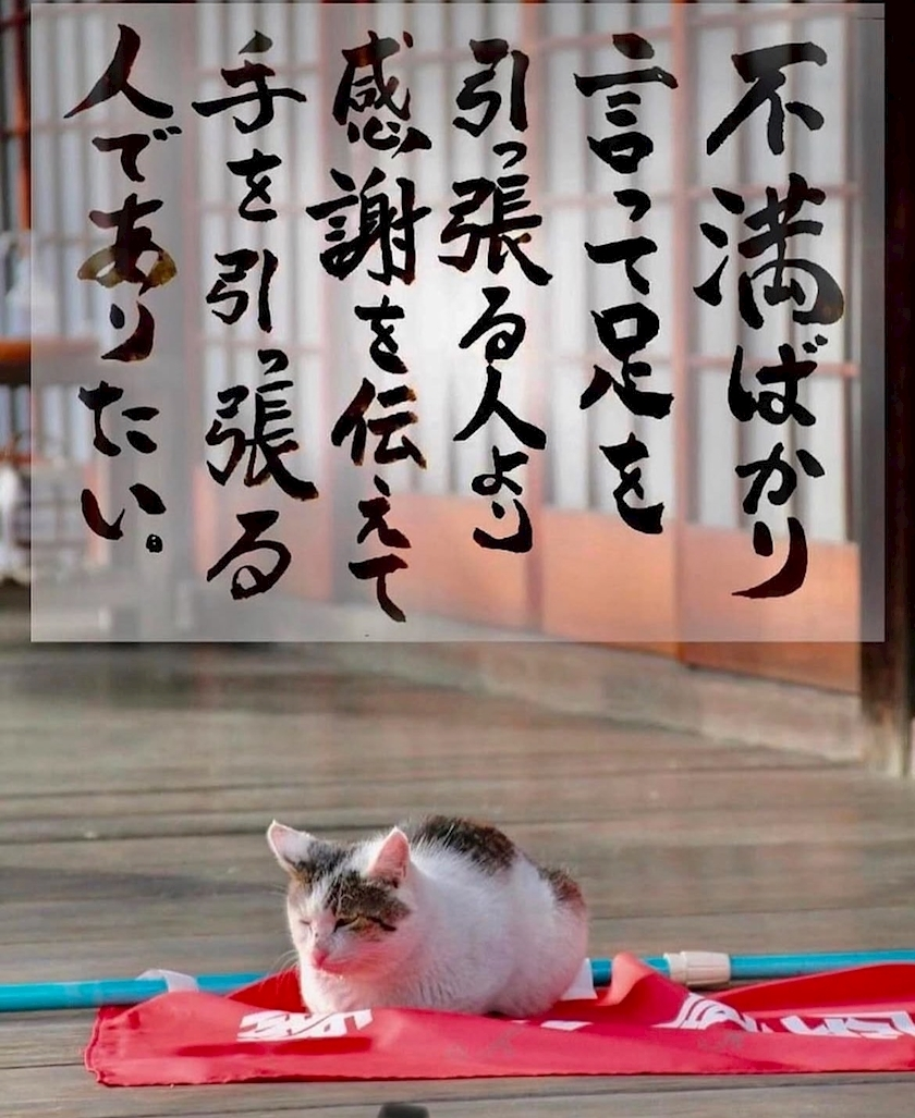 一ノ瀬 はづき