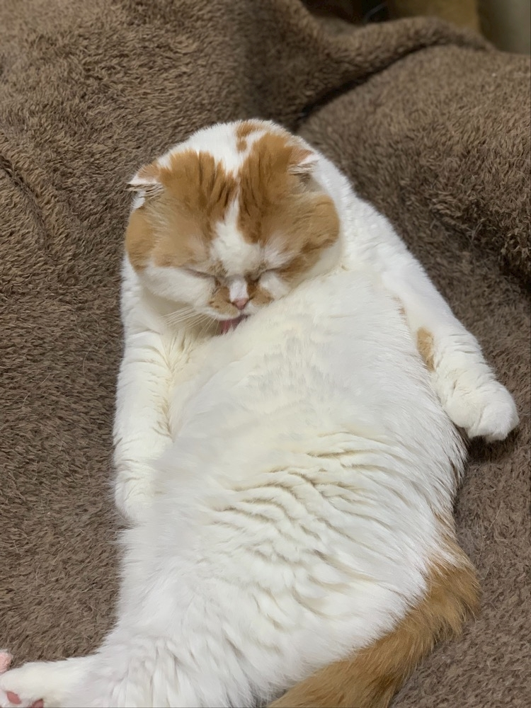 れみ