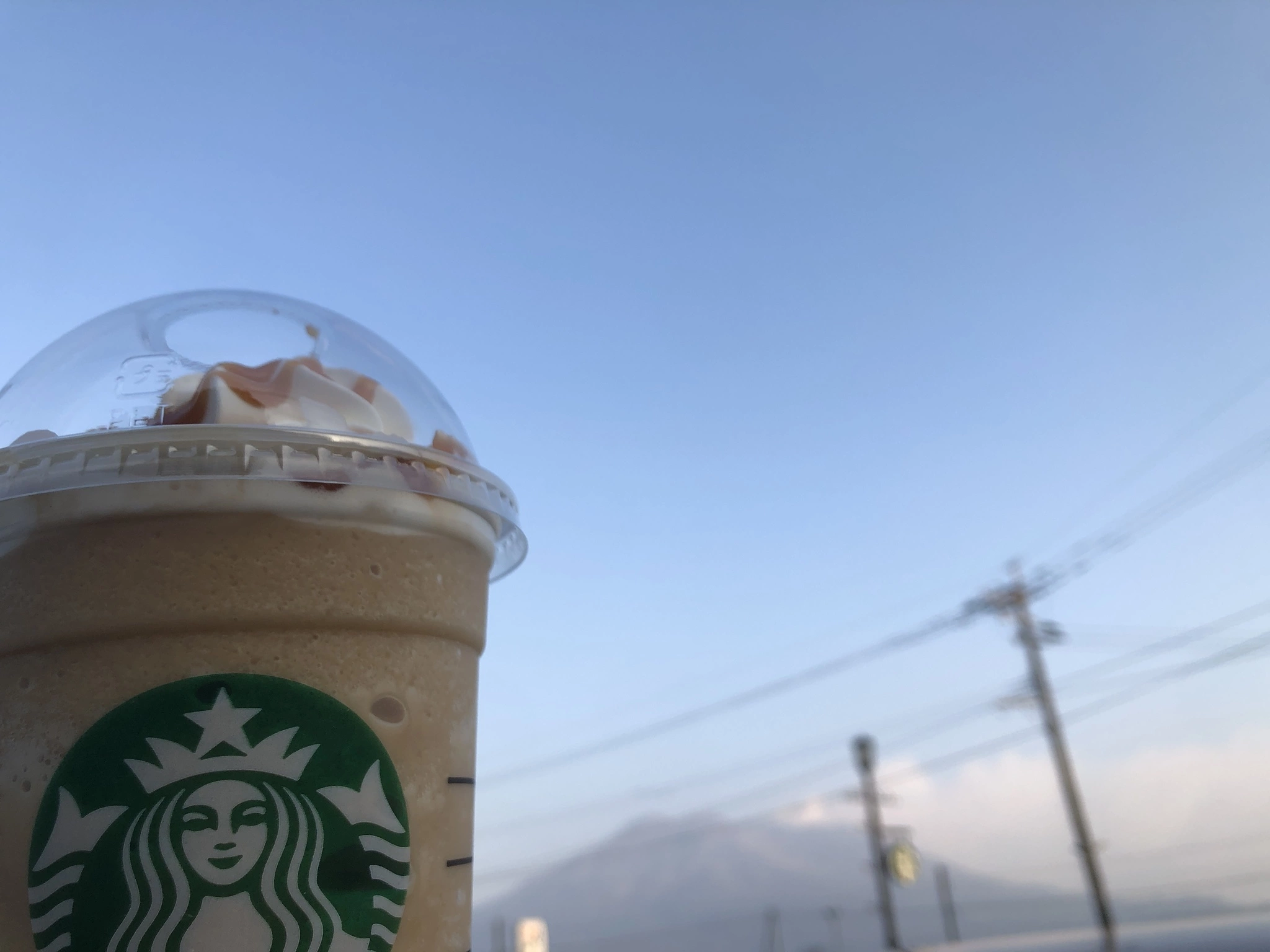 ねぎま
