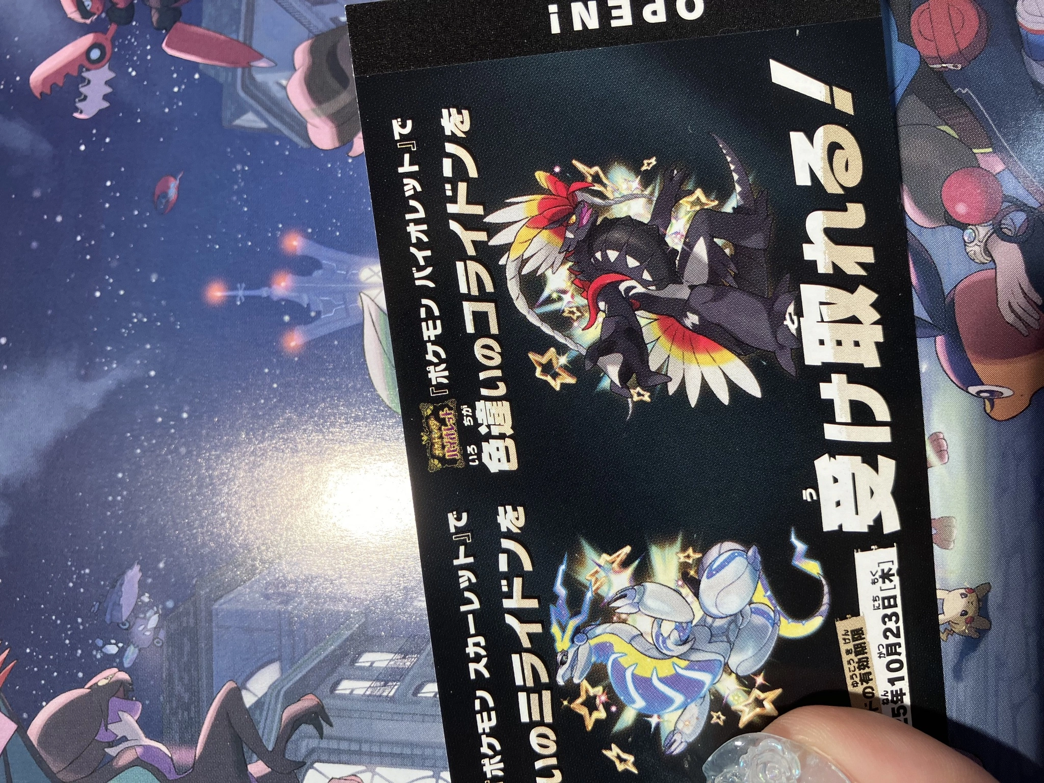 しゃむ