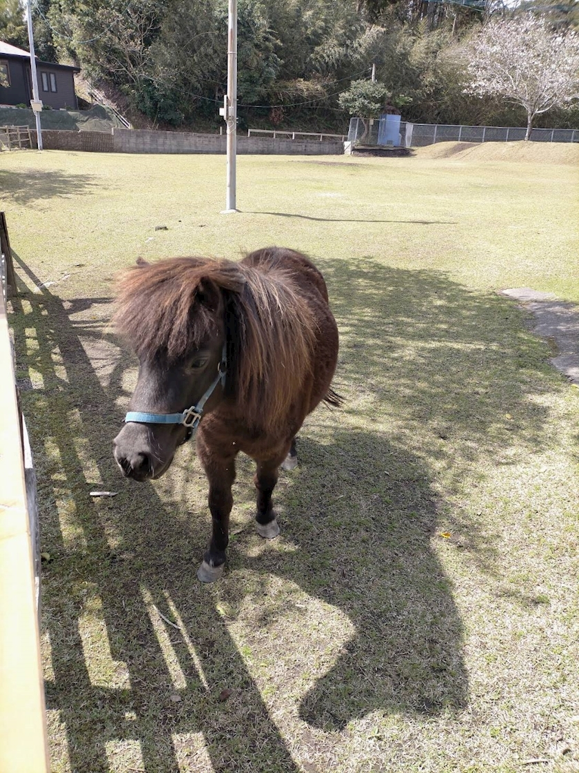 みお