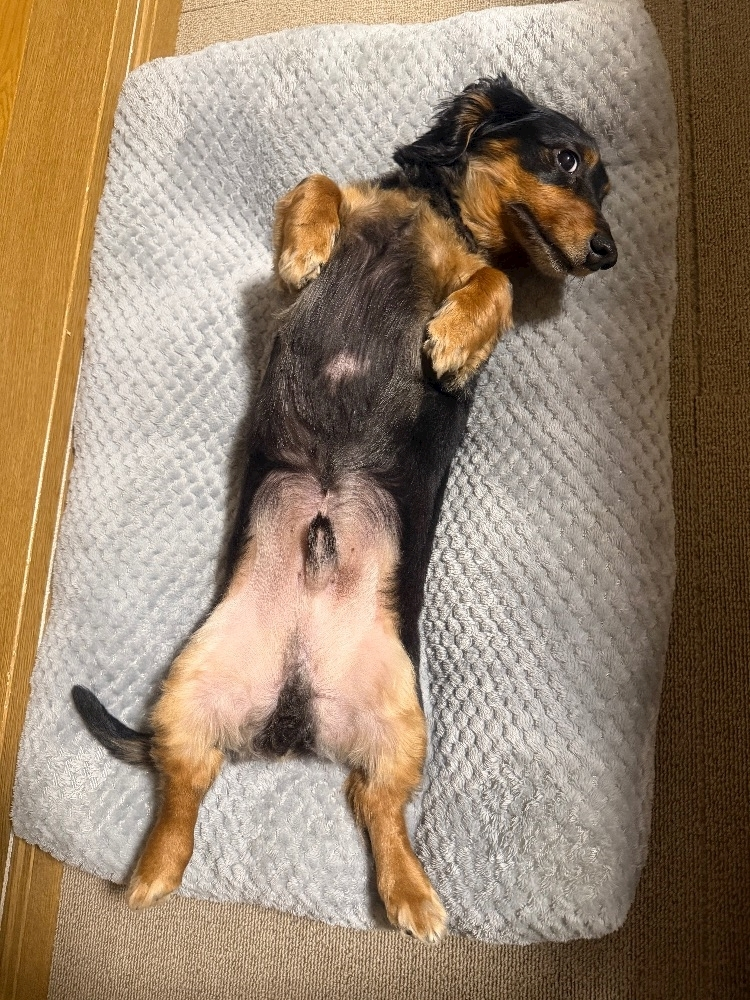 なつき