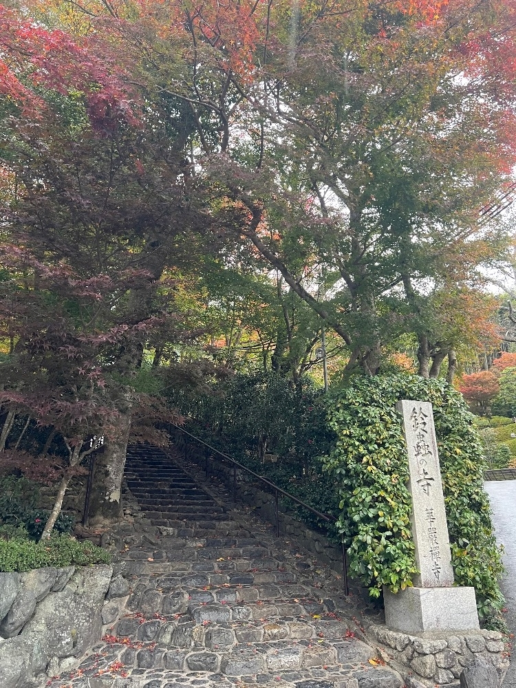 なつき
