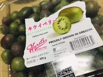 長瀬 純恋