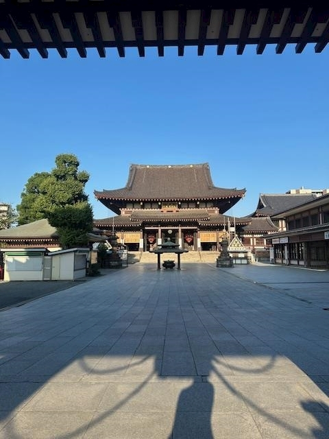 ゆきの