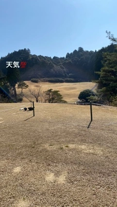 あおい
