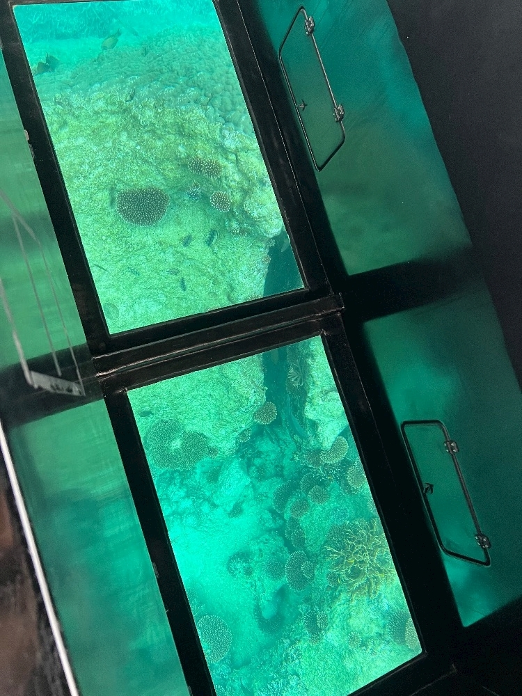 池田 ゆりか ママ