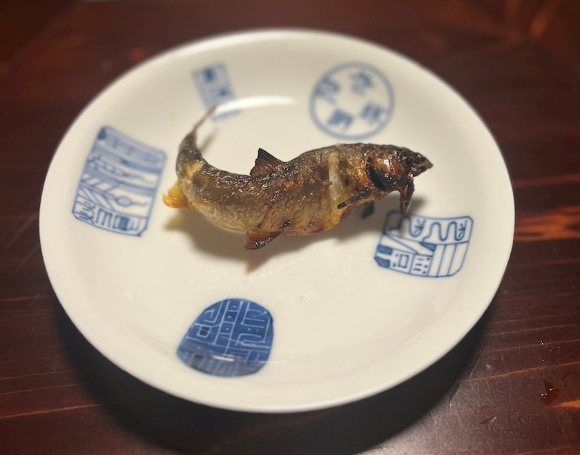 美咲 ゆい