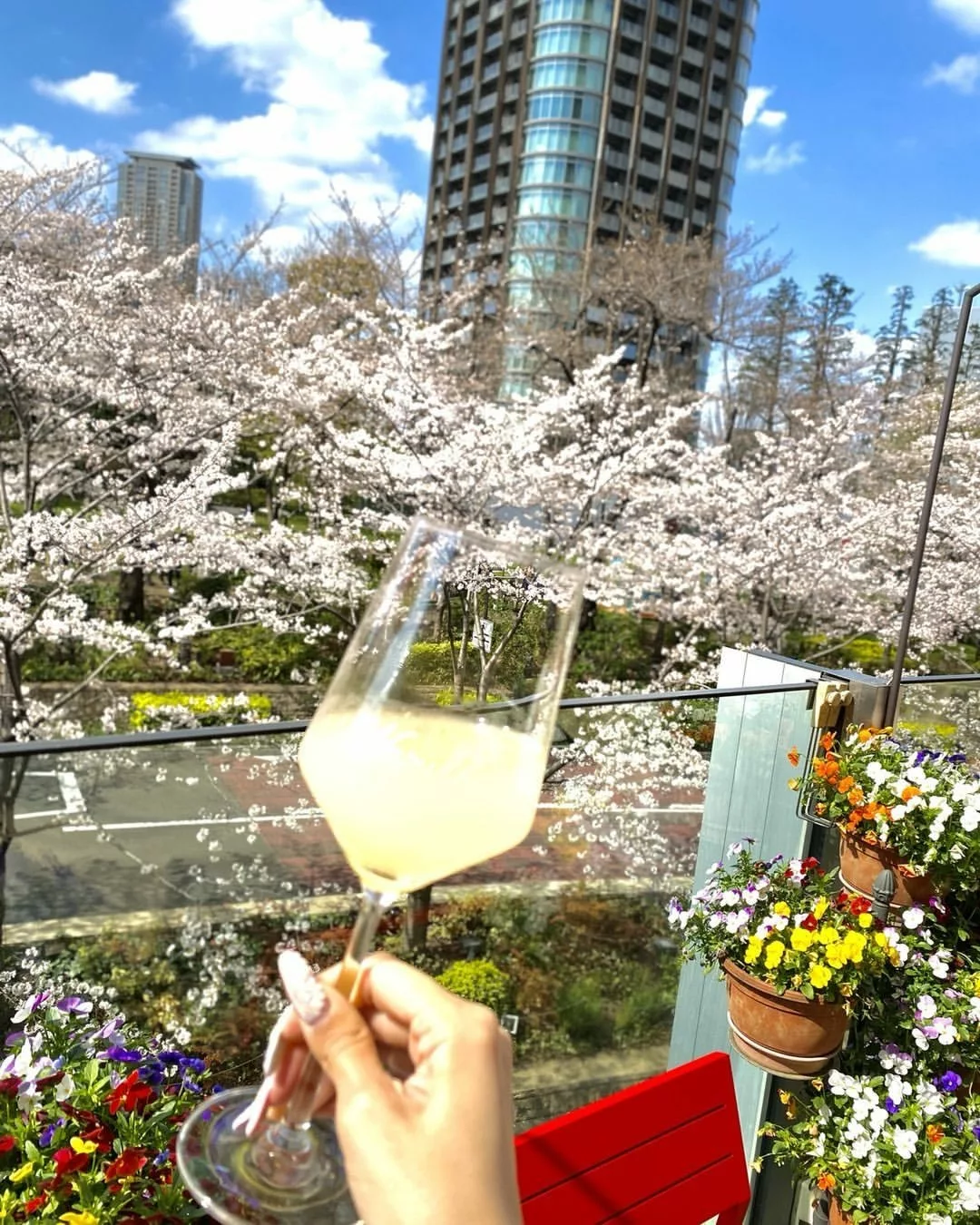 桜 ゆみ