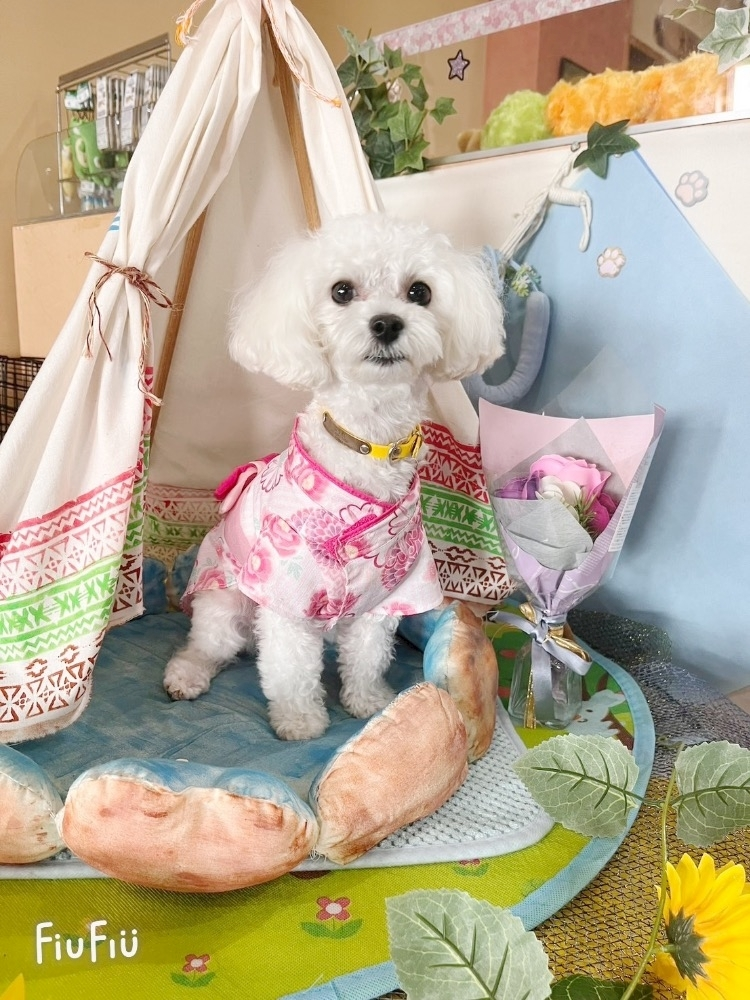 もえ