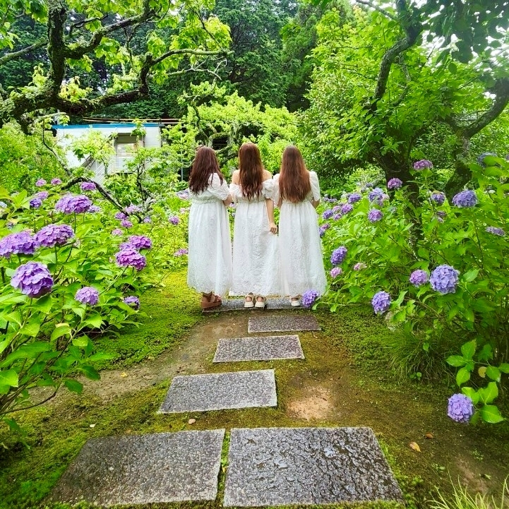 七瀬 みか