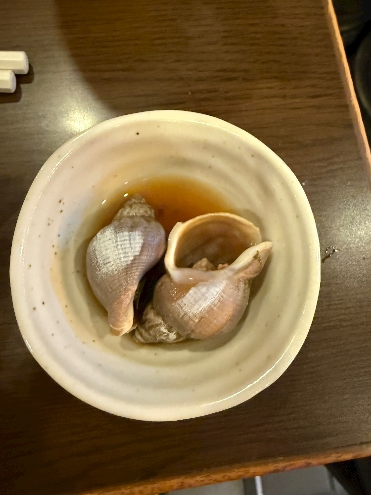 泉  みらい