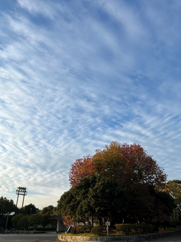 七瀬 あい