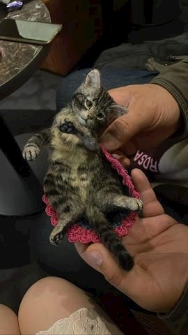 あい