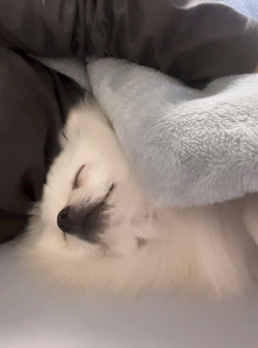 七瀬 なな