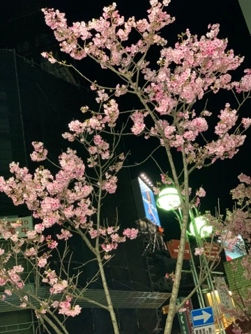 れい