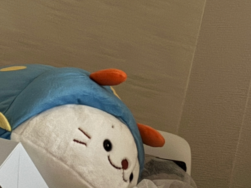 望月 りん
