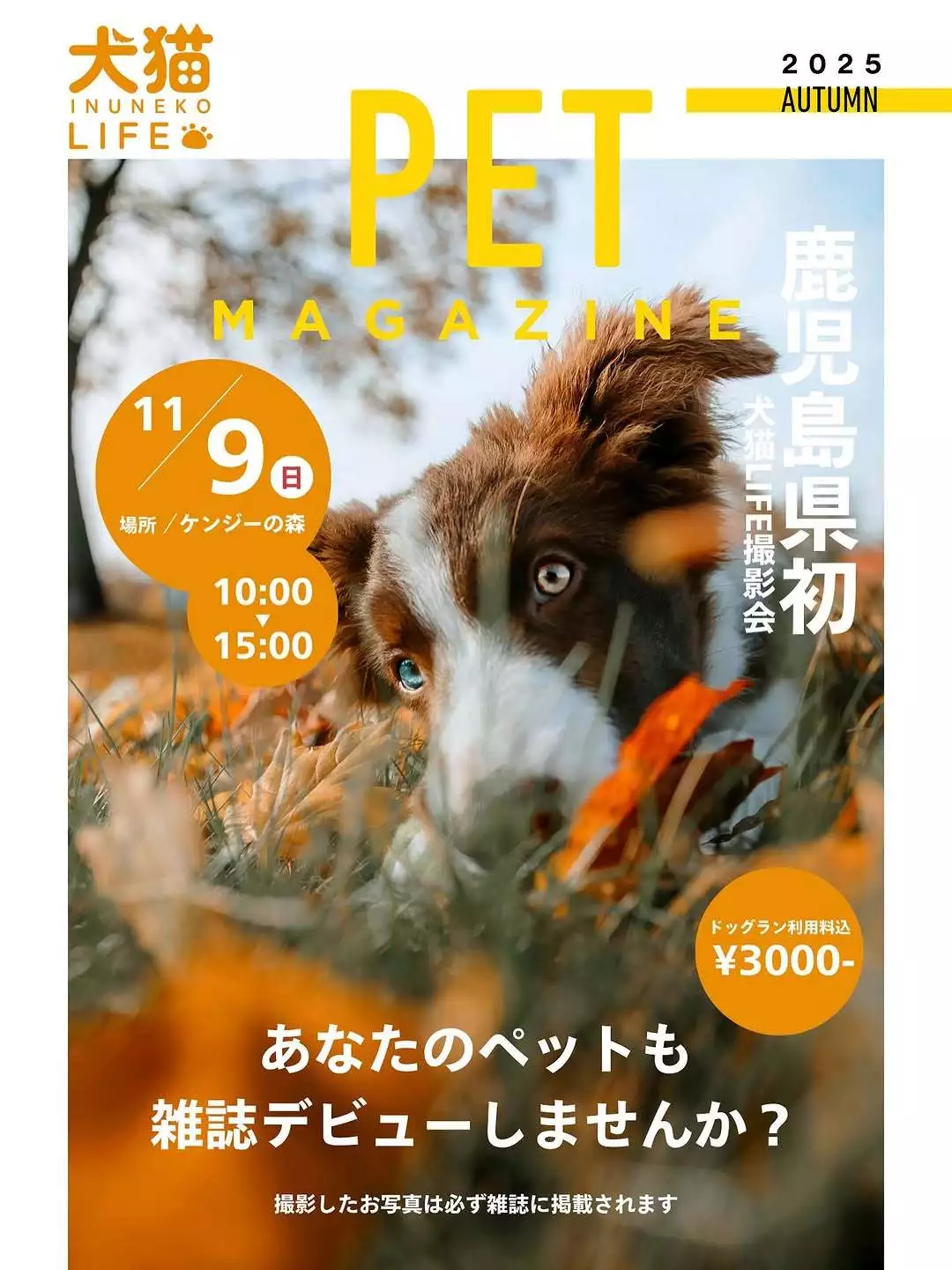 みこ