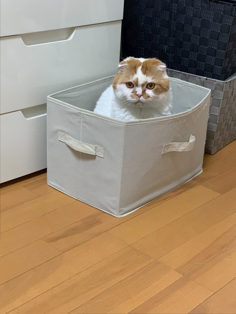 れみ