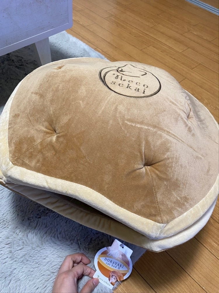 華宮 れい