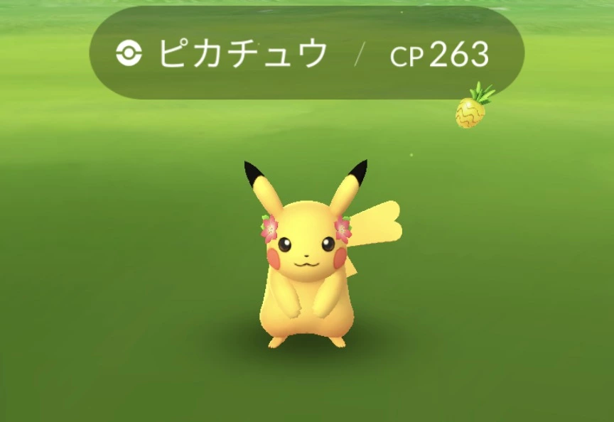 五条 椿